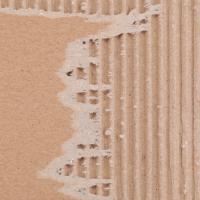Photo Textures of Cardboard